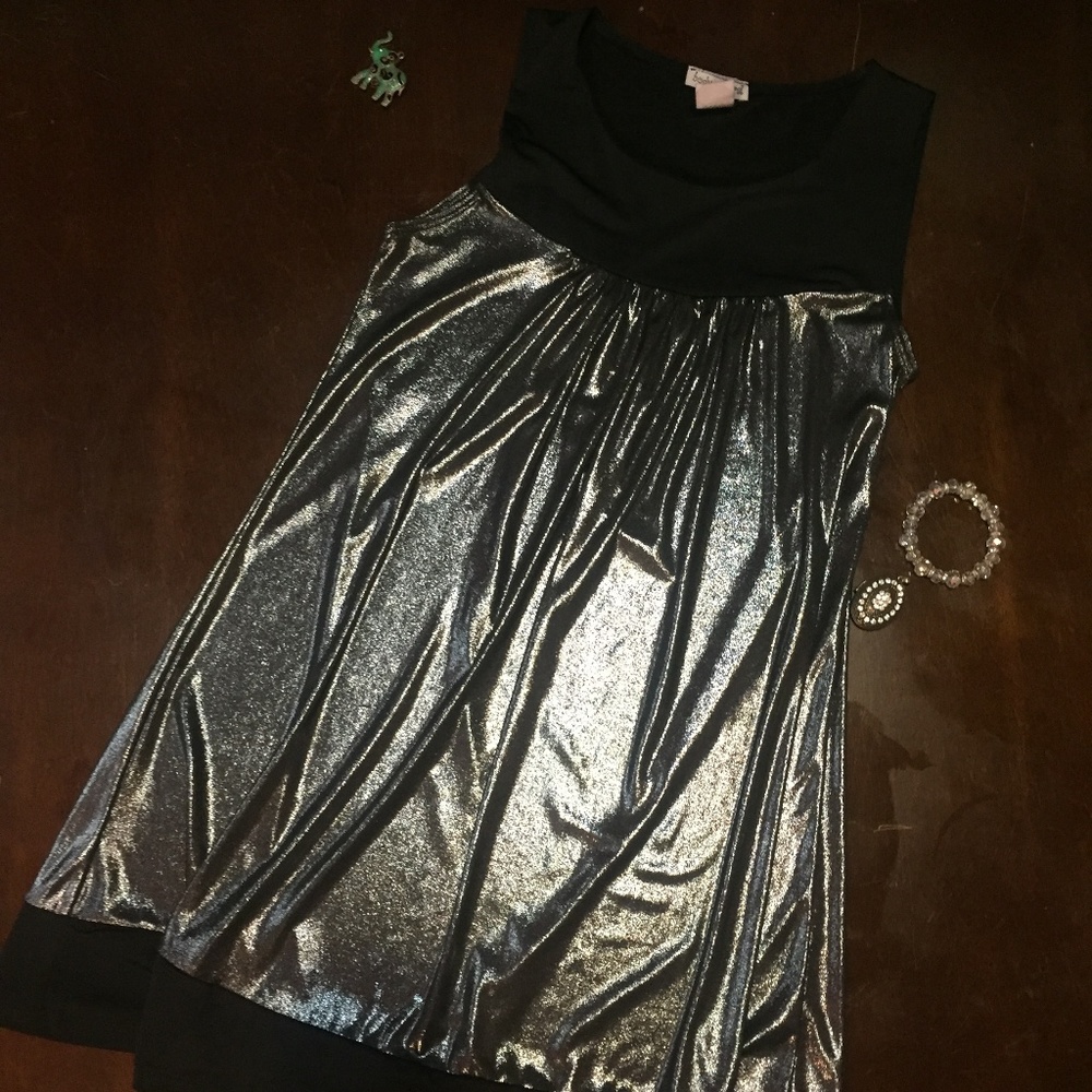Metallic Shiny Dress